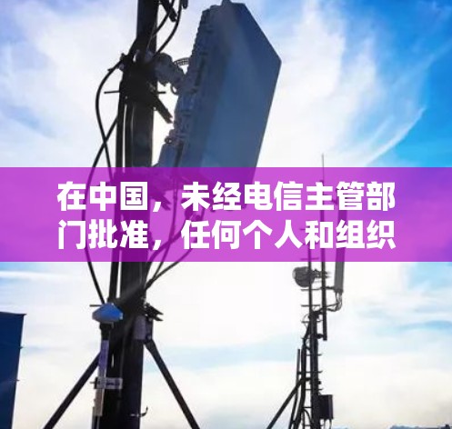 在中国,未经电信主管部门批准,任何个人和组织不得擅自建立、使用非法信道进行国际联网。使用梯子访问被屏蔽的网站可能违反中华人民共和国计算机信息网络国际联网管理暂行规定及相关法律法规