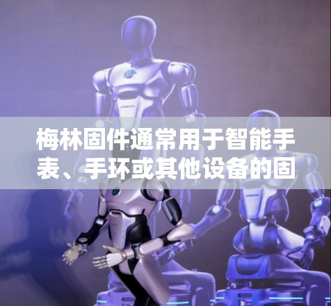 梅林固件通常用于智能手表、手环或其他设备的固件更新和管理。如果你想在使用梅林固件的设备上配置VPN，可以按照以下步骤操作