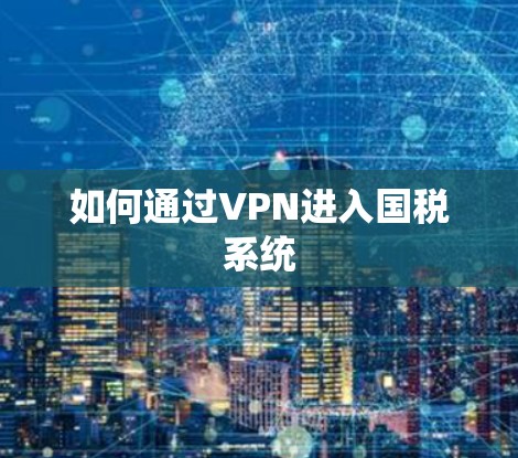 如何通过VPN进入国税系统