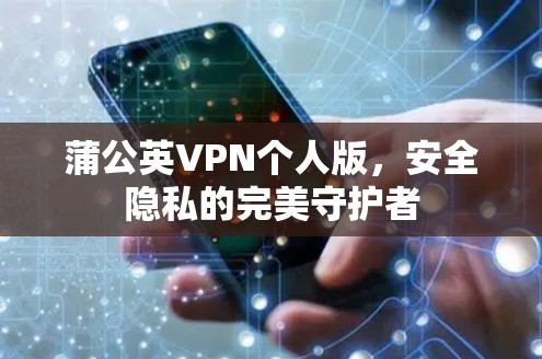 蒲公英VPN个人版,安全隐私的完美守护者 蒲公英VPN个人版,安全隐私的完美守护者