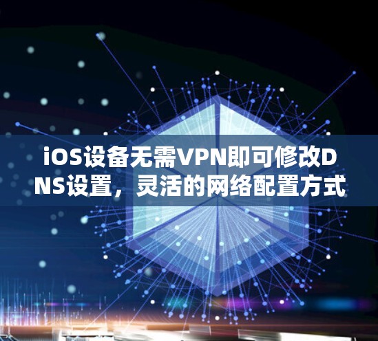 iOS设备无需VPN即可修改DNS设置，灵活的网络配置方式