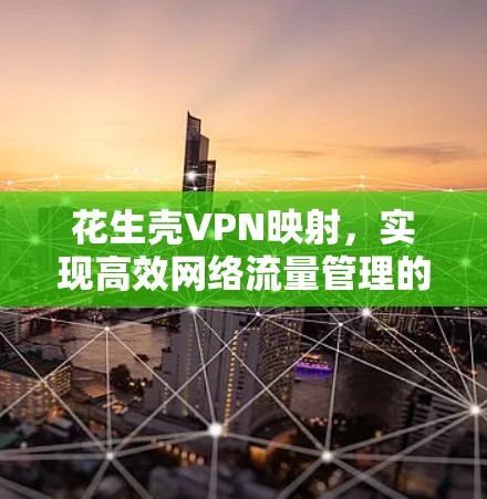 花生壳VPN映射，实现高效网络流量管理的技术手册