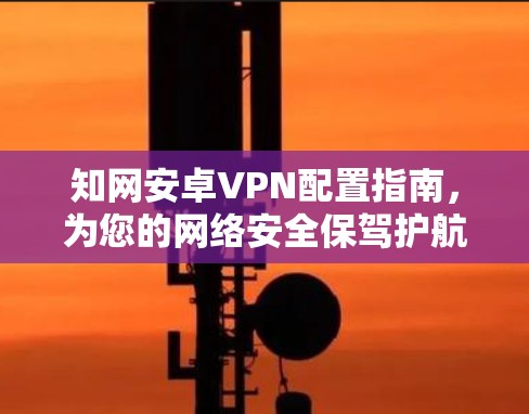 知网安卓VPN配置指南,为您的网络安全保驾护航 知网安卓VPN配置指南,为您的网络安全保驾护航
