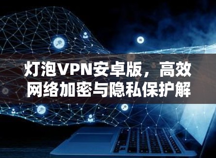 灯泡VPN安卓版,高效网络加密与隐私保护解决方案 灯泡VPN安卓版,高效网络加密与隐私保护解决方案