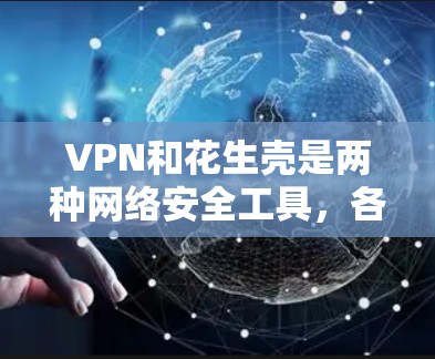 VPN和花生壳是两种网络安全工具，各自有不同的功能和应用场景。为了更好地理解它们如何配合使用，以下是对它们的详细分析和应用建议