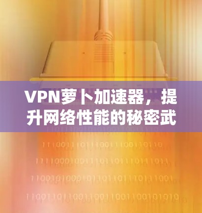 VPN萝卜加速器，提升网络性能的秘密武器