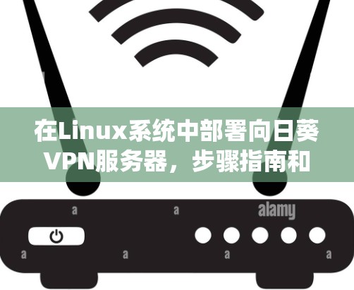 在Linux系统中部署向日葵VPN服务器，步骤指南和优化建议