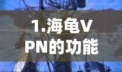 1.海龟VPN的功能