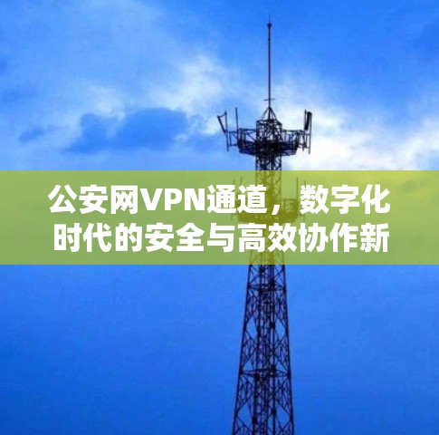 公安网VPN通道，数字化时代的安全与高效协作新解决方案