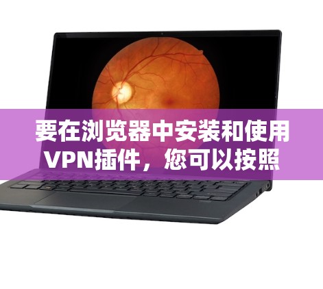 要在浏览器中安装和使用VPN插件，您可以按照以下步骤操作