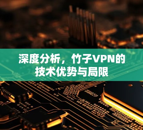 深度分析,竹子VPN的技术优势与局限 深度分析,竹子VPN的技术优势与局限