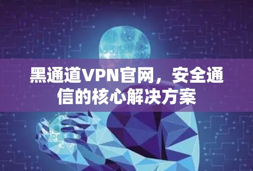 黑通道VPN官网,安全通信的核心解决方案 黑通道VPN官网,安全通信的核心解决方案