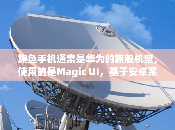旗鱼手机通常是华为的旗舰机型，使用的是Magic UI，基于安卓系统。如果你想在旗鱼手机上使用VPN，可以按照以下步骤操作