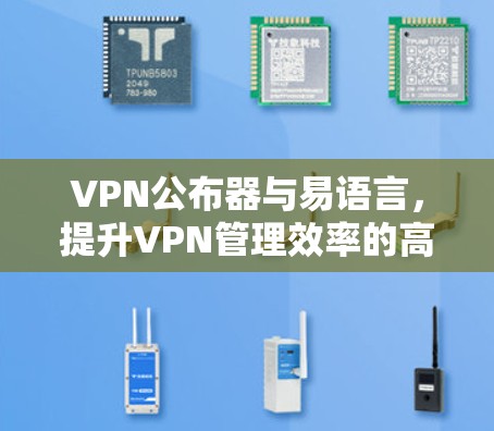 VPN公布器与易语言，提升VPN管理效率的高效解决方案