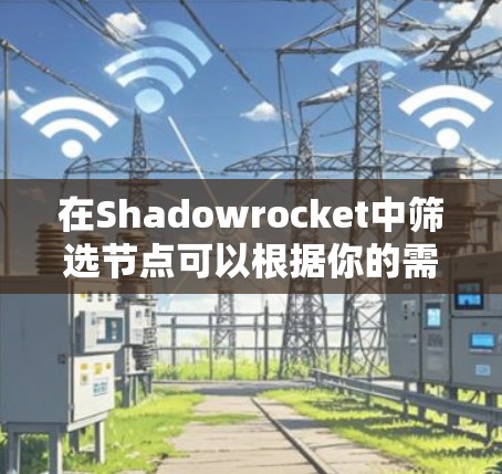 在Shadowrocket中筛选节点可以根据你的需求和目标进行调整。以下是一些常见的筛选方法和步骤