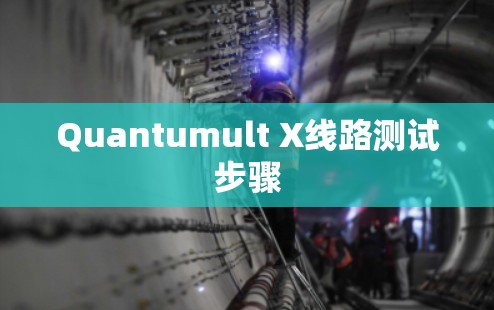 Quantumult X线路测试步骤 Quantumult X线路测试步骤