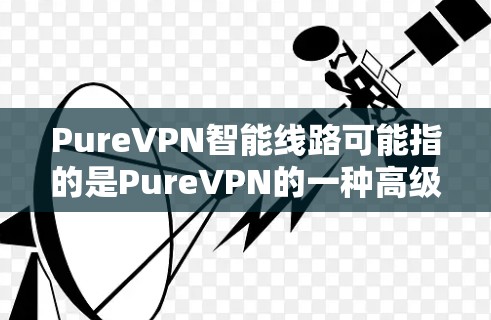 PureVPN智能线路可能指的是PureVPN的一种高级网络优化和安全功能,旨在通过智能路由和先进的网络技术,提升用户的网络连接速度、安全性和隐私保护能力。以下是一些可能的解释和相关信息 PureVPN智能线路可能指的是PureVPN的一种高级网络优化和安全功能,旨在通过智能路由和先进的网络技术,提升用户的网络连接速度、安全性和隐私保护能力。以下是一些可能的解释和相关信息