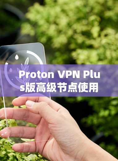 Proton VPN Plus版高级节点使用教程