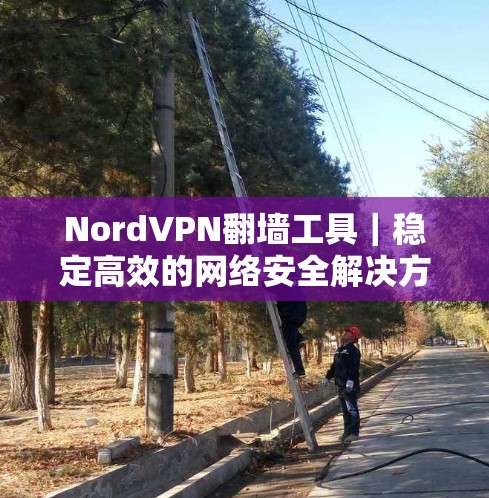 NordVPN翻墙工具|稳定高效的网络安全解决方案 NordVPN翻墙工具|稳定高效的网络安全解决方案