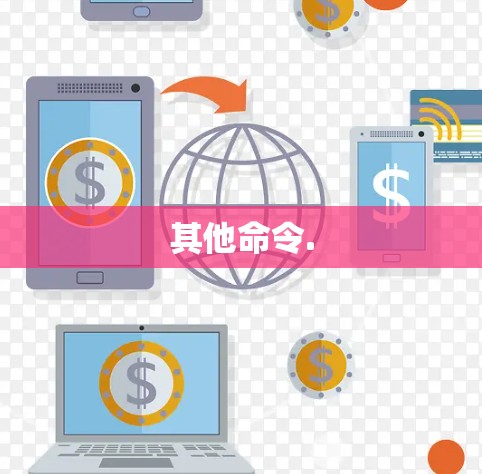 其他命令. 其他命令.