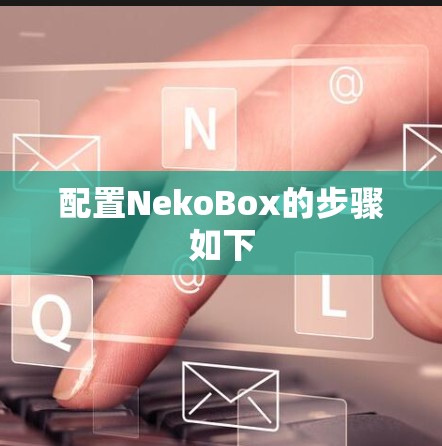 配置NekoBox的步骤如下 配置NekoBox的步骤如下