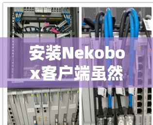 安装Nekobox客户端虽然面临一些挑战,但通过以下步骤可以顺利完成 安装Nekobox客户端虽然面临一些挑战,但通过以下步骤可以顺利完成