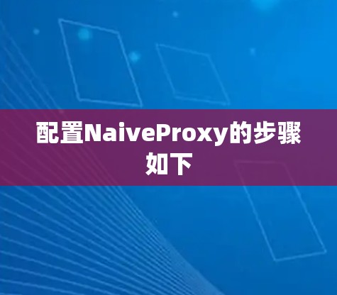 配置NaiveProxy的步骤如下 配置NaiveProxy的步骤如下
