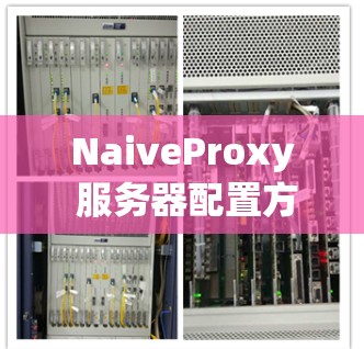 NaiveProxy 服务器配置方法(41字) NaiveProxy 服务器配置方法(41字)