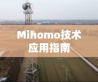 Mihomo技术应用指南 Mihomo技术应用指南