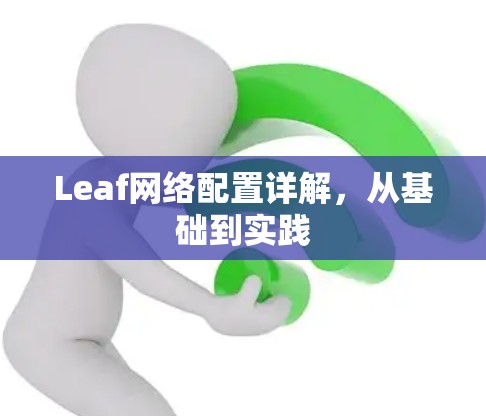 Leaf网络配置详解，从基础到实践