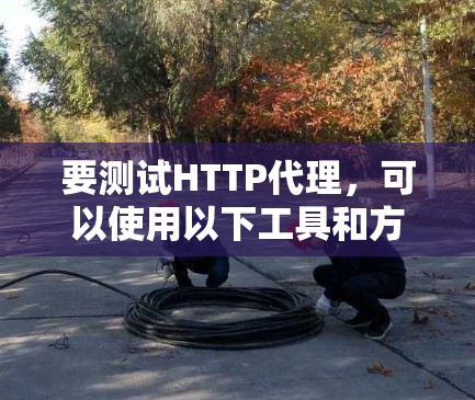 要测试HTTP代理,可以使用以下工具和方法 要测试HTTP代理,可以使用以下工具和方法