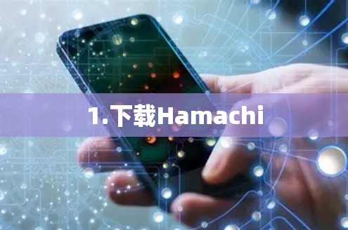 1.下载Hamachi 1.下载Hamachi