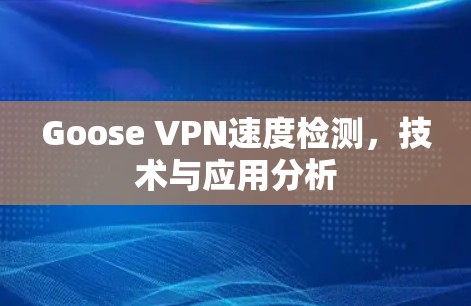 Goose VPN速度检测,技术与应用分析 Goose VPN速度检测,技术与应用分析