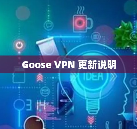 Goose VPN 更新说明