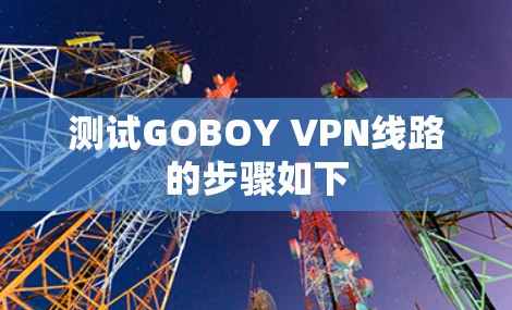 测试GOBOY VPN线路的步骤如下