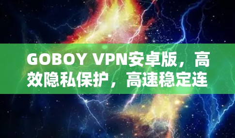 GOBOY VPN安卓版，高效隐私保护，高速稳定连接
