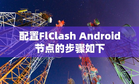 配置FlClash Android节点的步骤如下 配置FlClash Android节点的步骤如下
